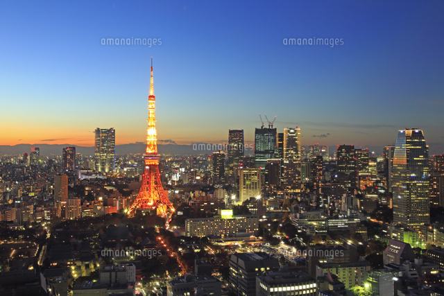 SHARP写真コンテスト受賞作品(建て替え前世界貿易センタービルからの景色) 世界貿易センタービルから見る東京タワーの夜景[26105013786]の写真
