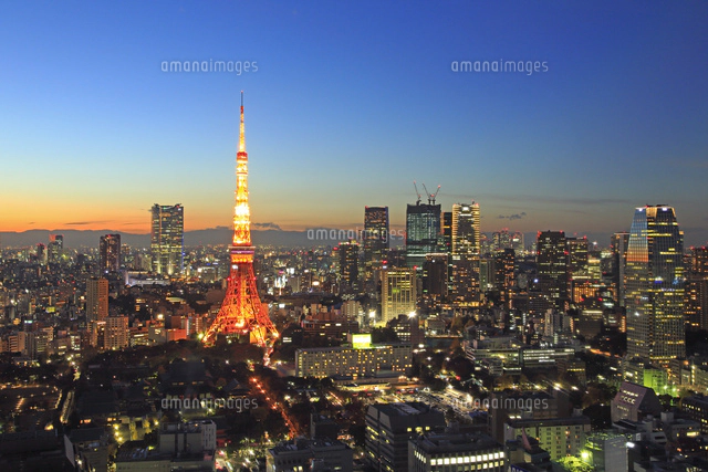 世界貿易センタービルから見る東京タワーの夜景[26105013785]の写真