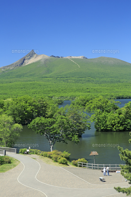 新緑の大沼公園の駒ヶ岳と大沼[26105014353]の写真・イラスト