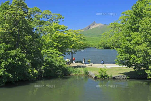 新緑の大沼公園の駒ヶ岳と大沼[26105014514]の写真・イラスト