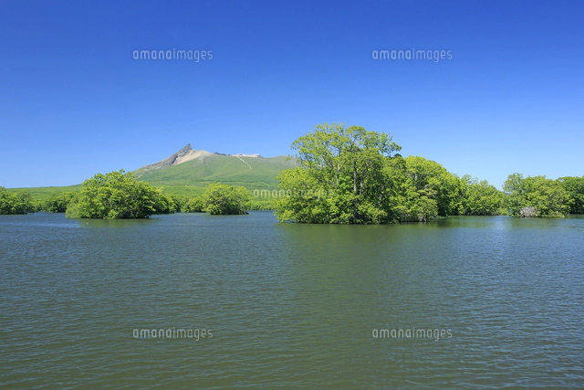 田辺 三重松、大沼公園の秋（駒ヶ岳）、限定・豪華希少画集（レゾネ） 田辺 三重松、大沼公園の秋（駒ヶ岳）、限定・豪華希少画集
