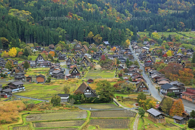 天守閣展望台から見る秋の白川郷の一斉放水[26105015204]の写真