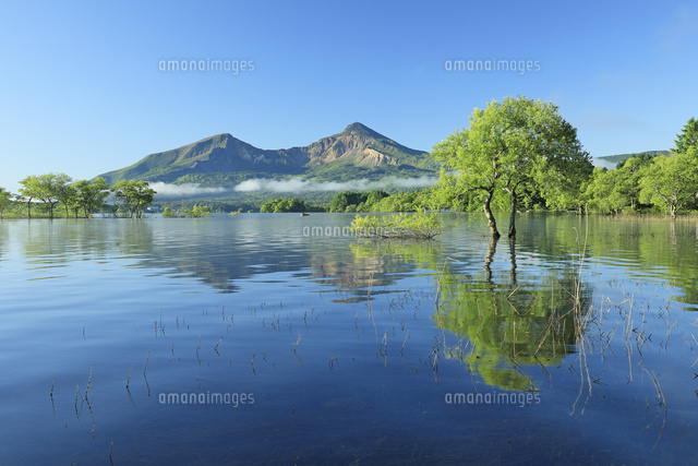 湖 風景画 （P） 裏磐梯の桧原湖から磐梯山[26105016023]の写真・イラスト素材｜アマナ