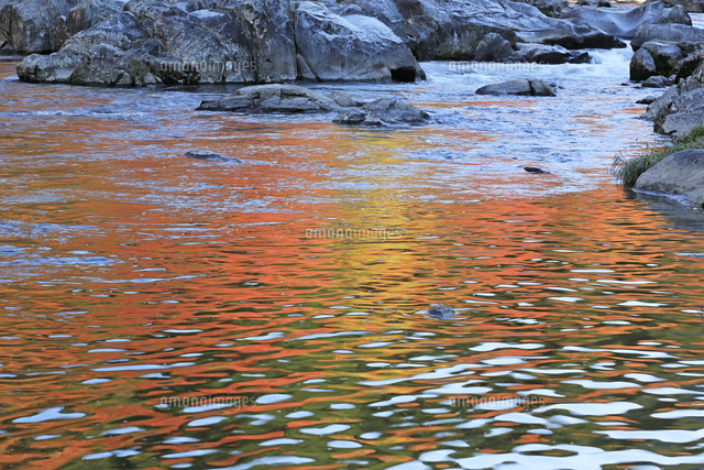 川面に映る香嵐渓の紅葉 の写真素材 イラスト素材 アマナイメージズ
