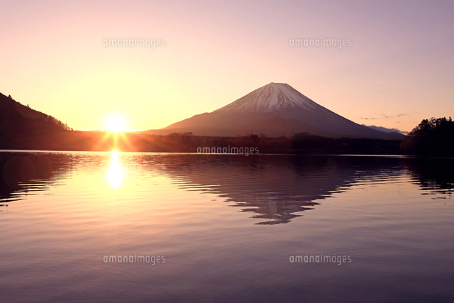 精進湖から日の出の富士山逆さ富士[26105018401]の写真・イラスト素材