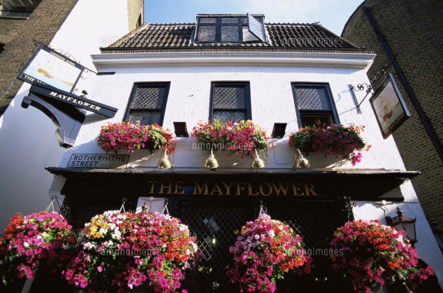 メイフラワー パブ の花飾り の写真素材 イラスト素材 アマナイメージズ