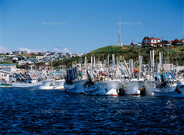 花咲港 サンマ漁船[26120001768]の写真・イラスト素材｜アマナイメージズ