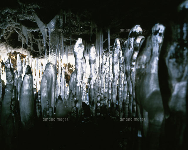 氷筍 ニョロニョロ 百畳敷洞窟 の写真素材 イラスト素材 アマナイメージズ