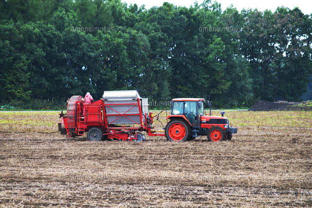 中古品農業機械ポテトハーベスターじゃ芋収穫