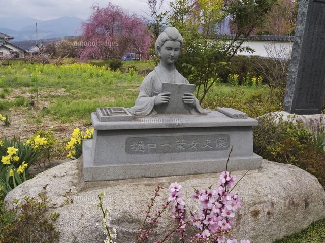 樋口一葉女史像[26120013627]の写真・イラスト素材｜アマナイメージズ