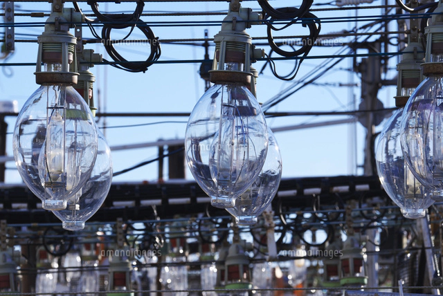 羅臼港のイカ釣り漁船の電球[26120022754]の写真・イラスト素材