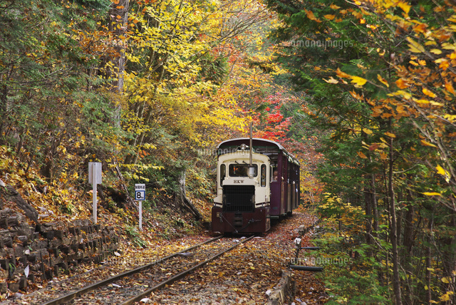 赤沢森林鉄道 の写真素材 イラスト素材 アマナイメージズ