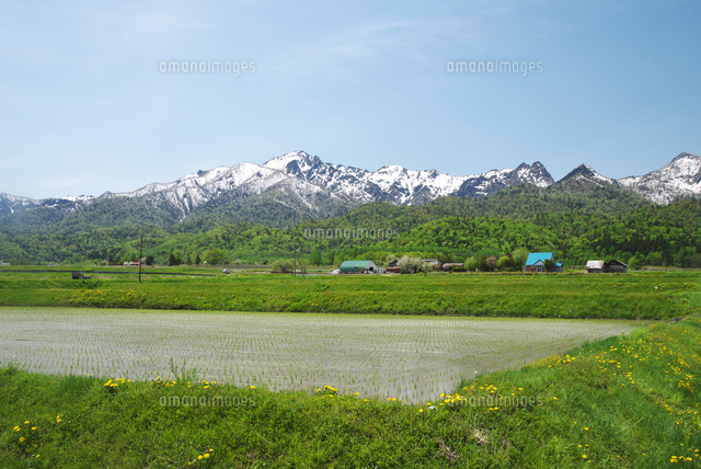夕張山地と水田 の写真素材 イラスト素材 アマナイメージズ