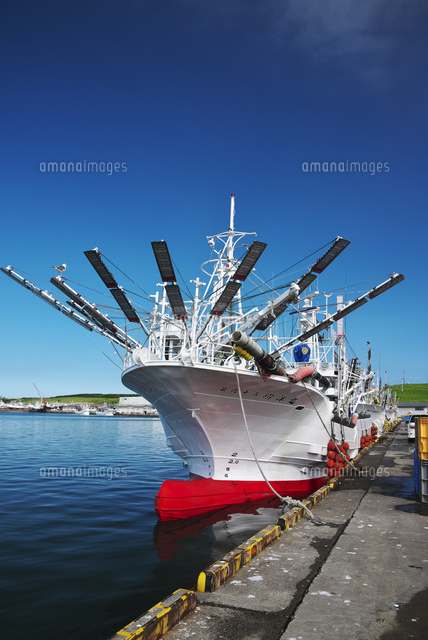 花咲漁港とサンマ漁船 の写真素材 イラスト素材 アマナイメージズ