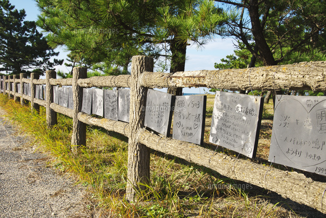 慶野松原 プロポーズ街道 の写真素材 イラスト素材 アマナイメージズ