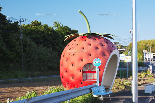 フルーツバス停 の写真素材 イラスト素材 アマナイメージズ