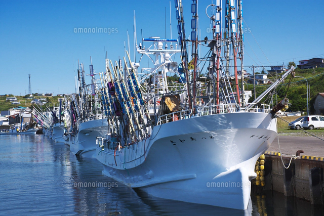 花咲港とサンマ漁船[26120054702]の写真・イラスト素材｜アマナイメージズ