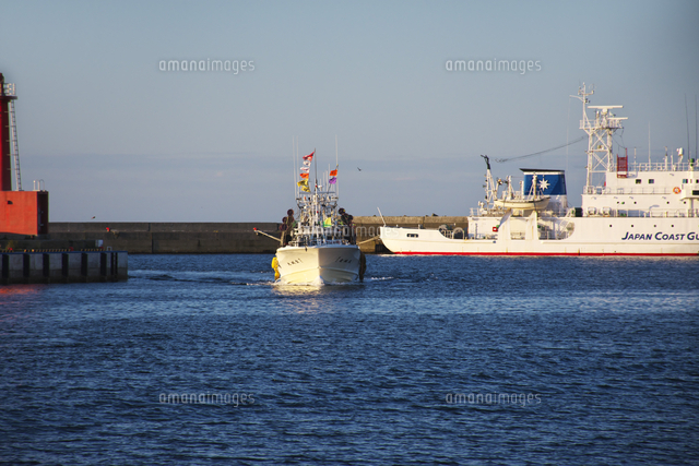 羅臼漁港のイカ釣り漁船と巡視船 の写真素材 イラスト素材 アマナイメージズ