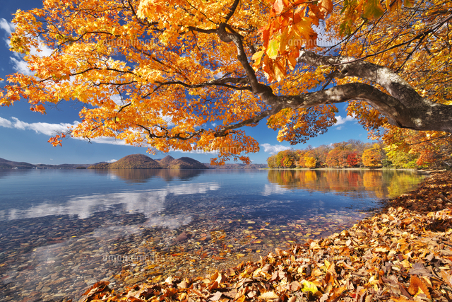 洞爺湖の紅葉と中島 の写真素材 イラスト素材 アマナイメージズ 洞爺湖の紅葉と中島 の写真素材 イラスト素材 アマナイメージズ