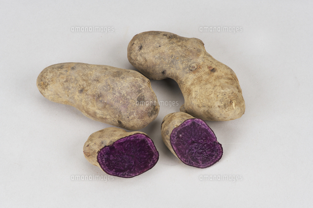 シャドークイーン じゃがいも の写真素材 イラスト素材 アマナイメージズ