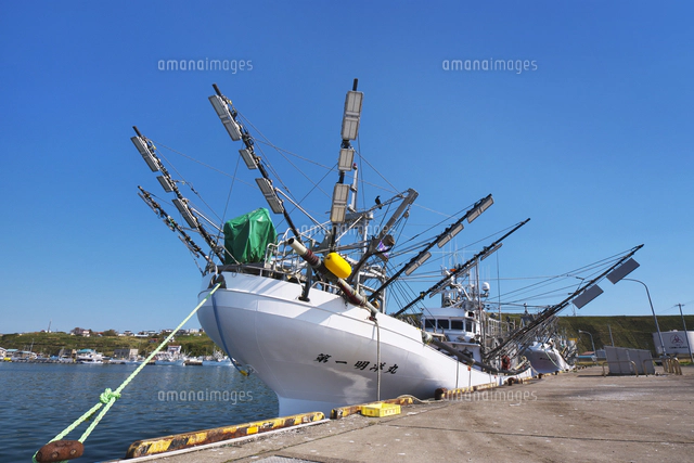 花咲港とサンマ漁船[26120073766]の写真・イラスト素材｜アマナイメージズ