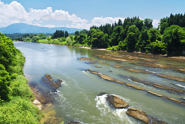 最上川（三ヶ瀬）[26120078069]の写真・イラスト素材｜アマナイメージズ