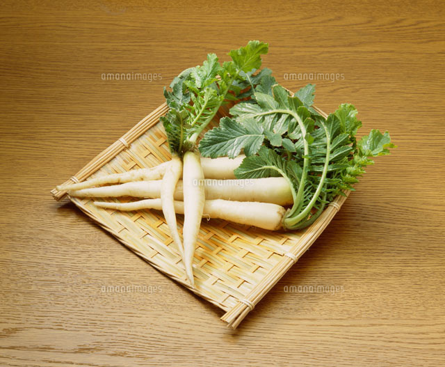 春の七草 すずしろ の写真素材 イラスト素材 アマナイメージズ