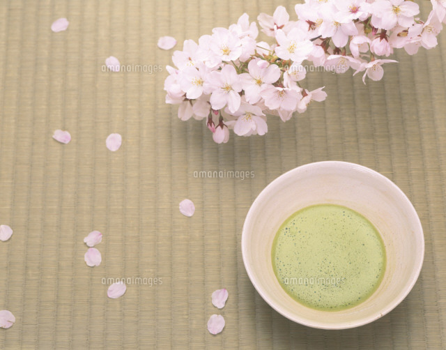 桜とお茶 の写真素材 イラスト素材 アマナイメージズ