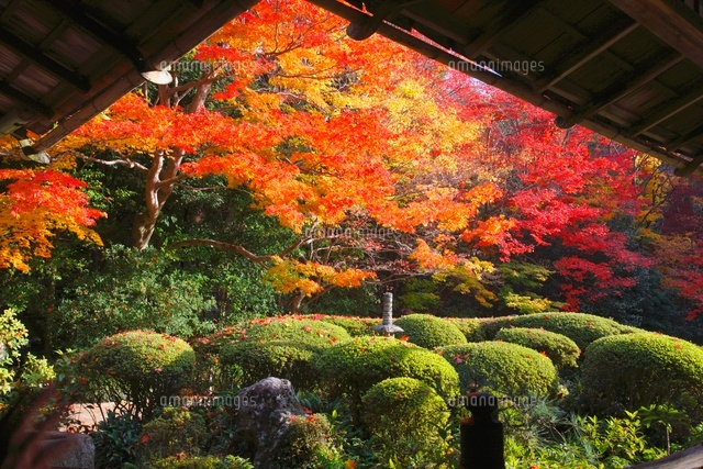 ベトナム製 宝石絵画「紅葉と庭園」 注文制作します 水彩画原画 紅葉の公園 ＃310 | iichi 日々の
