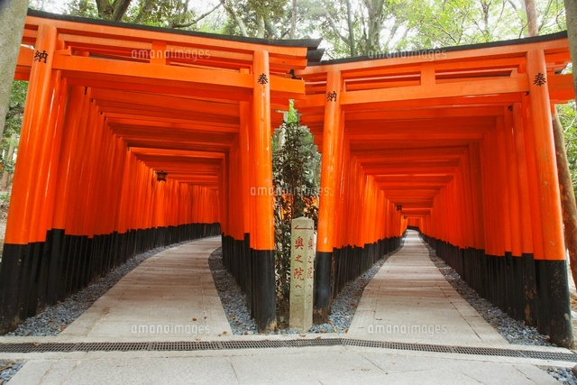 伏見稲荷大社の千本鳥居 の写真素材 イラスト素材 アマナイメージズ 伏見稲荷大社の千本鳥居 の写真素材 イラスト素材 アマナイメージズ