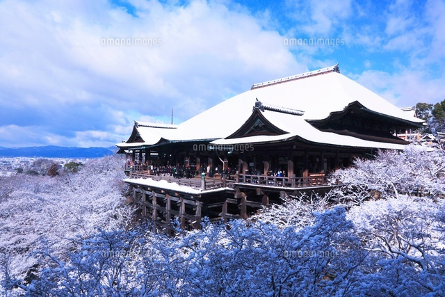 清水寺　雪景色　額入り 京都移住3年目にして、ようやく見れた清水寺の雪景色❄️ 大雪