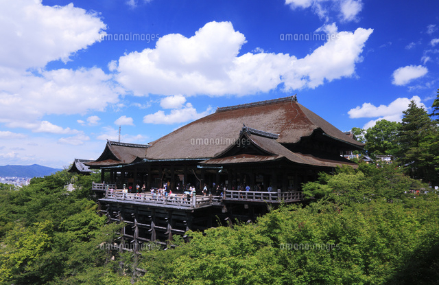 夏の清水寺舞台[26121012446]の写真・イラスト素材｜アマナ