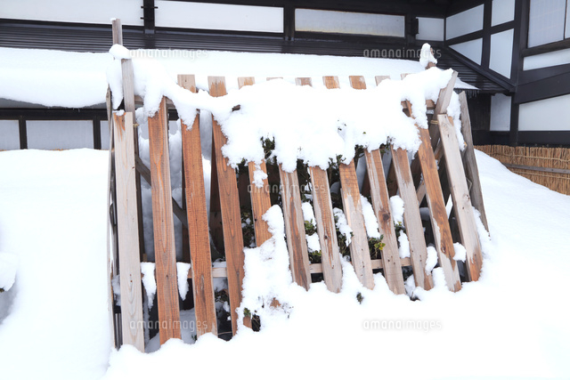 植木の冬囲い の写真素材 イラスト素材 アマナイメージズ