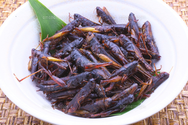 イナゴの佃煮 の写真素材 イラスト素材 アマナイメージズ