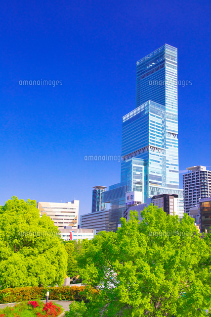 天王寺公園とあべのハルカス の写真素材 イラスト素材 アマナイメージズ
