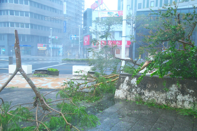 台風8号の強風による倒木と街並み の写真素材 イラスト素材 アマナイメージズ