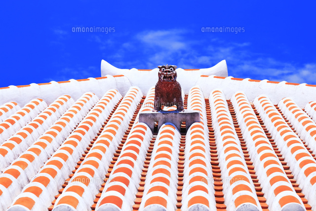 竹富島のシーサー[26121027155]の写真・イラスト素材｜アマナイメージズ