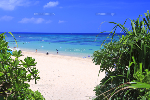 サンセットビーチ の写真素材 イラスト素材 アマナイメージズ