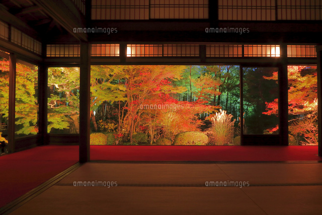 紅葉の天授庵 の写真素材 イラスト素材 アマナイメージズ