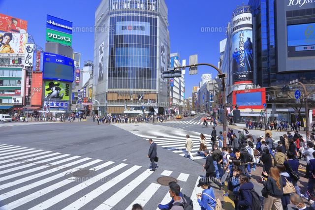 渋谷のスクランブル交差点 の写真素材 イラスト素材 アマナイメージズ