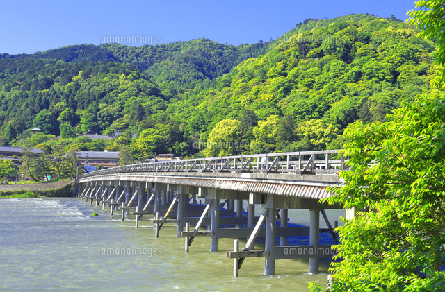新緑の嵐山 の写真素材 イラスト素材 アマナイメージズ