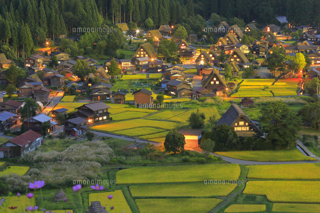 秋の日暮れの白川郷 の写真素材 イラスト素材 アマナイメージズ
