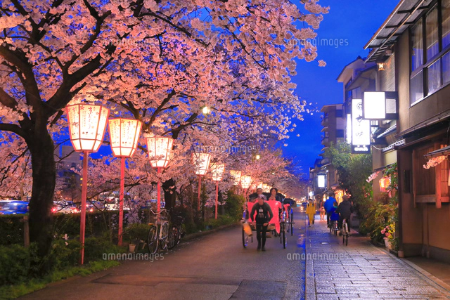 （模写）水彩画 桜に親子　端館紫川 模写）水彩画 桜に親子 端館紫川 模写）水彩画 桜に親子 端館紫川