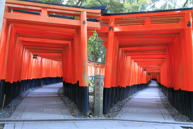 伏見稲荷大社 の写真素材 イラスト素材 アマナイメージズ