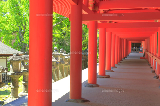 【春日大社】豪華写真集 🐉🏛️🐉 こんにちは！ 春日ホテルです🕴 本日は【春日大社 国