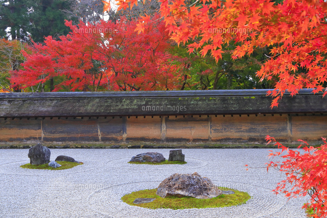 紅葉の龍安寺 の写真素材 イラスト素材 アマナイメージズ 紅葉の龍安寺 の写真素材 イラスト素材 アマナイメージズ