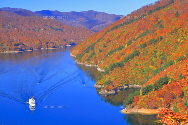 奥只見湖遊覧船 の写真素材 イラスト素材 アマナイメージズ