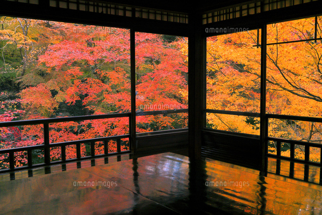 油絵・風景画　京都　瑠璃光院　紅葉 無量寿山光明寺 京都本院 瑠璃光院