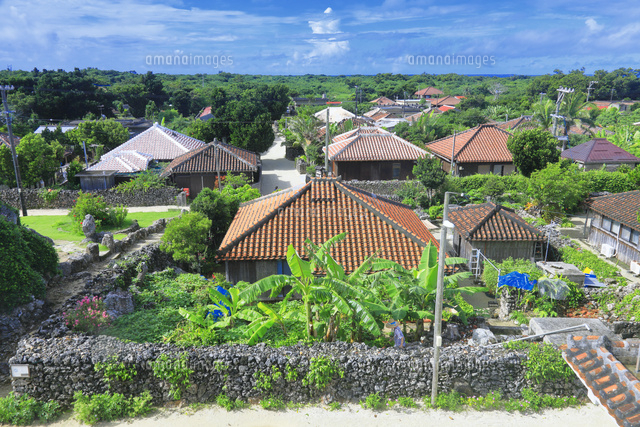竹富島の家並 の写真素材 イラスト素材 アマナイメージズ