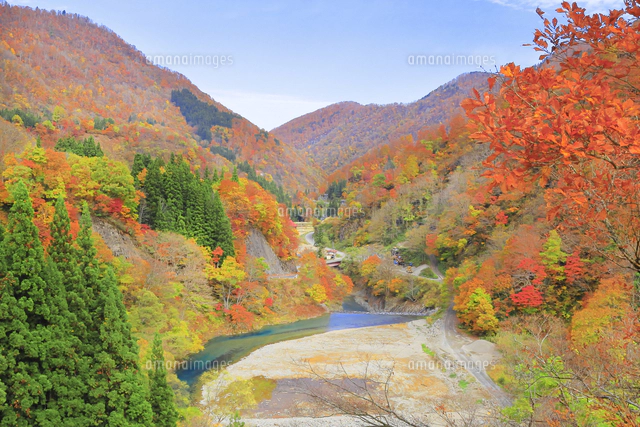 紅葉の秋山郷[26121044240]の写真・イラスト素材｜アマナイメージズ